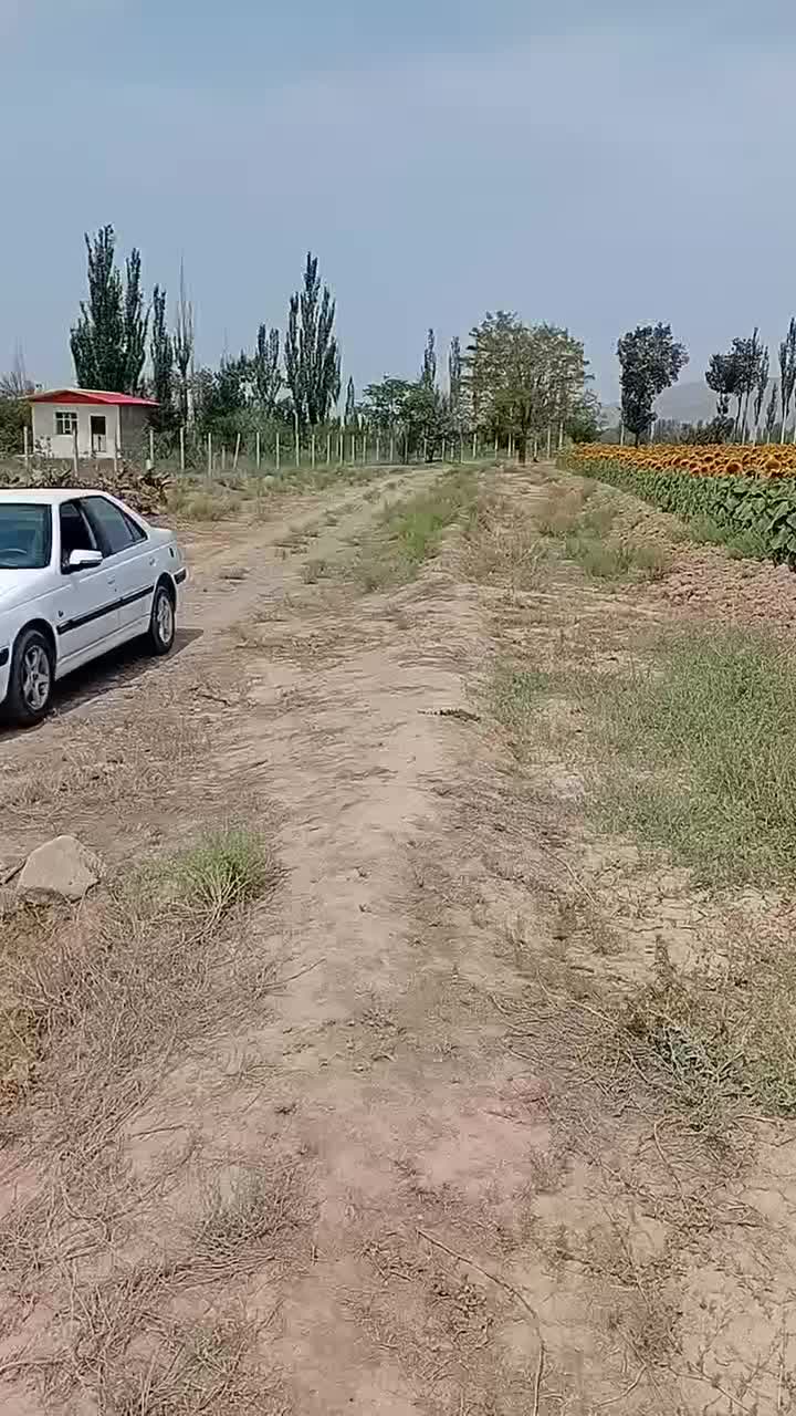 زمین کشاورزی|فروش دفتر صنعتی، کشاورزی، تجاری|مرند, |دیوار