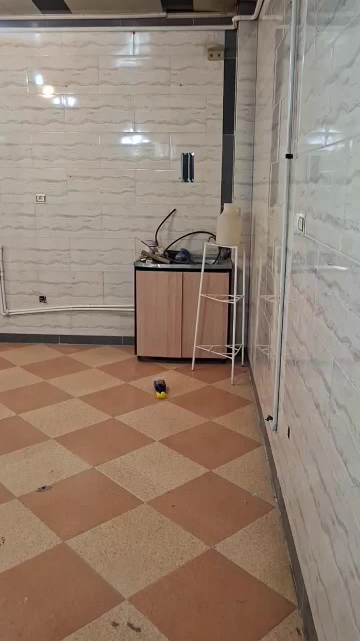 اجاره مغازه|اجارهٔ مغازه و غرفه|کرمان, |دیوار