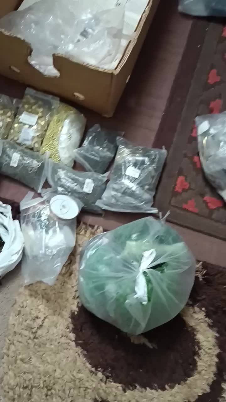 لوازم بدلیجات اکسسوری عمده|بدلیجات|مشهد, حجاب (شهرک غرب)|دیوار