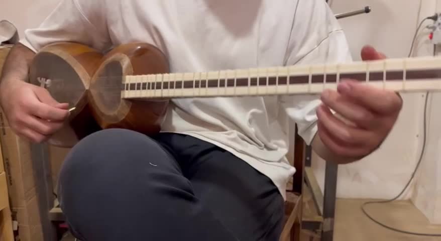 ساز تار|سازهای سنتی|تهران, پامنار|دیوار