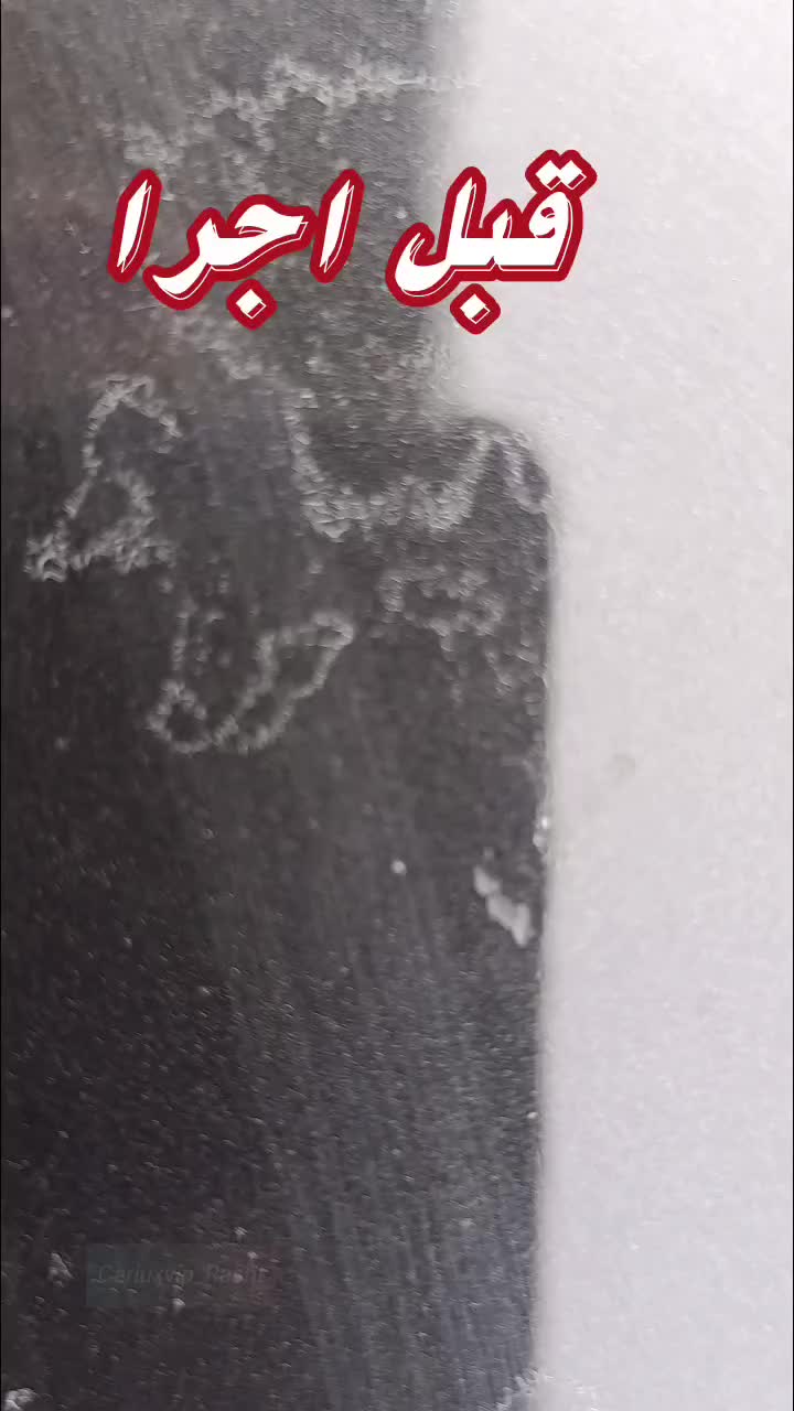 رفع فضله پرنده بصورت دائمی|خدمات موتور و ماشین|رشت, حومه رشت|دیوار