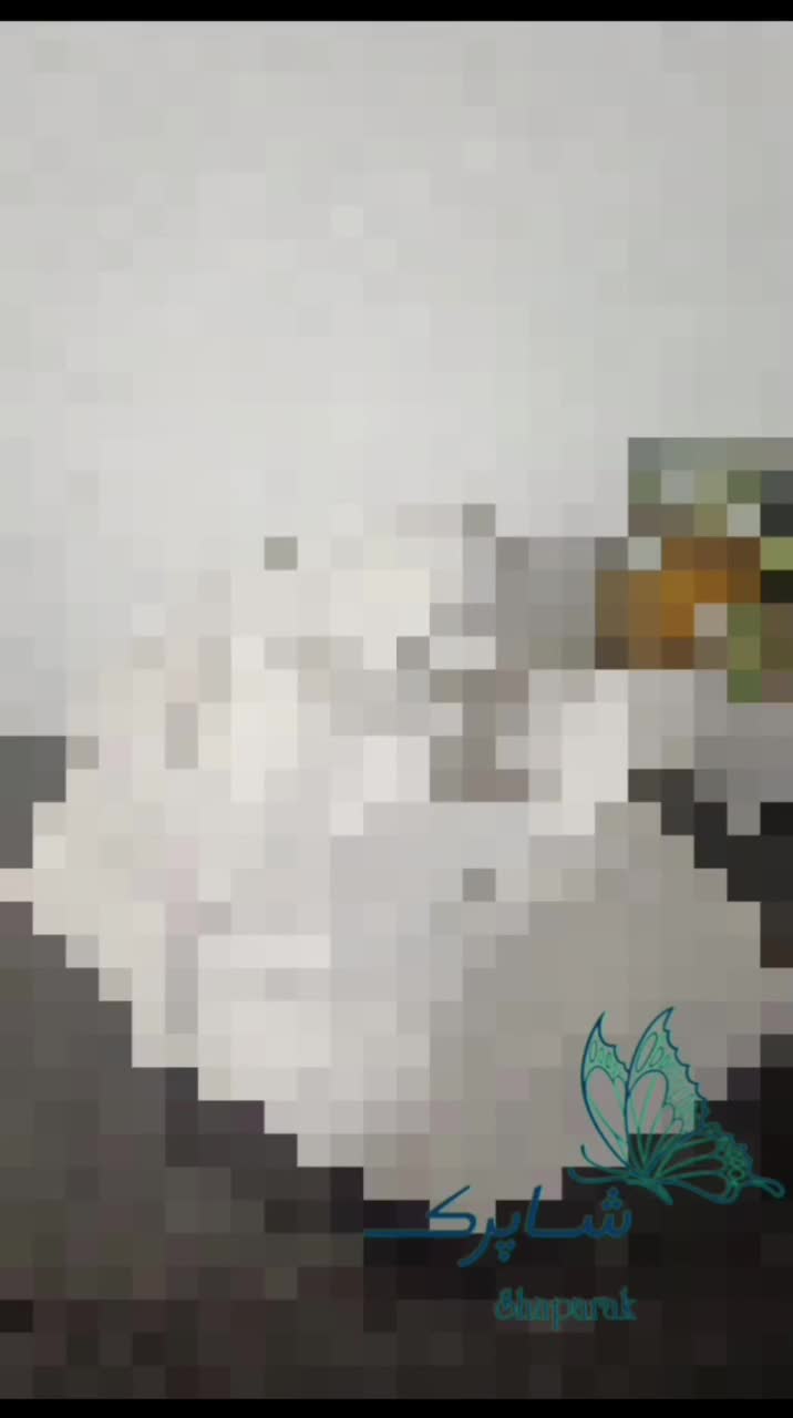 دیوارکوب|مجسمه، تندیس، ماکت|تهران, سوهانک|دیوار