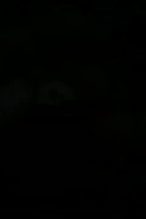 مهره قدیم|کلکسیون اشیاء عتیقه|فیروزآباد (لرستان), |دیوار