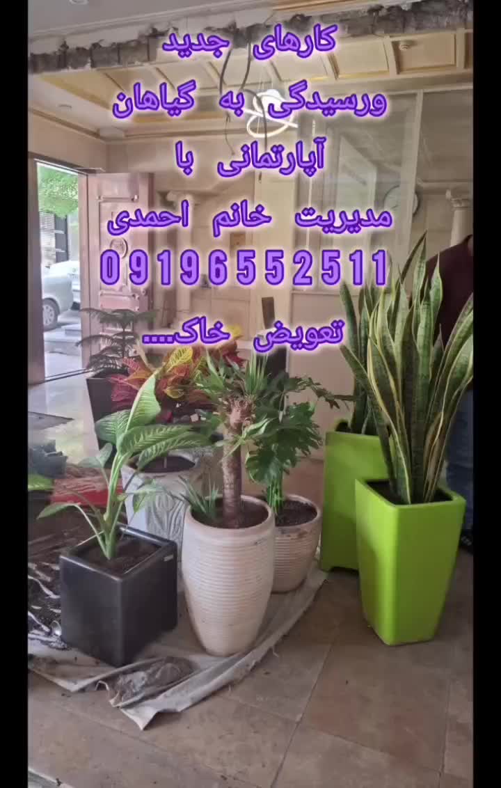 کلیه خدمات باغچه تعویض خاک گل گلکاری باغچه هرس|خدمات باغبانی و درختکاری|تهران, جردن|دیوار