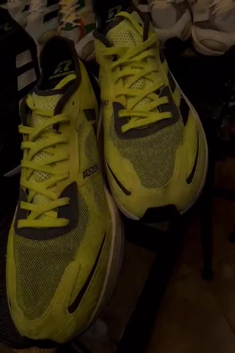 adidas adizero ادیداس ادیزیرواورجینال رانیننگ|کیف، کفش، کمربند|تهران, دریا|دیوار