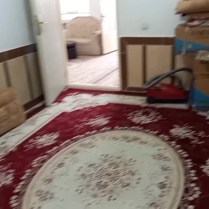 ویلا داخل پارک جنگلی شوراب|فروش خانه و ویلا|ویسیان, |دیوار