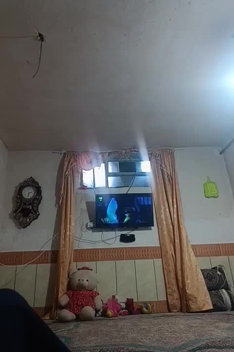 پرده۳در۳|پرده، رانر، رومیزی|یاسوج, |دیوار