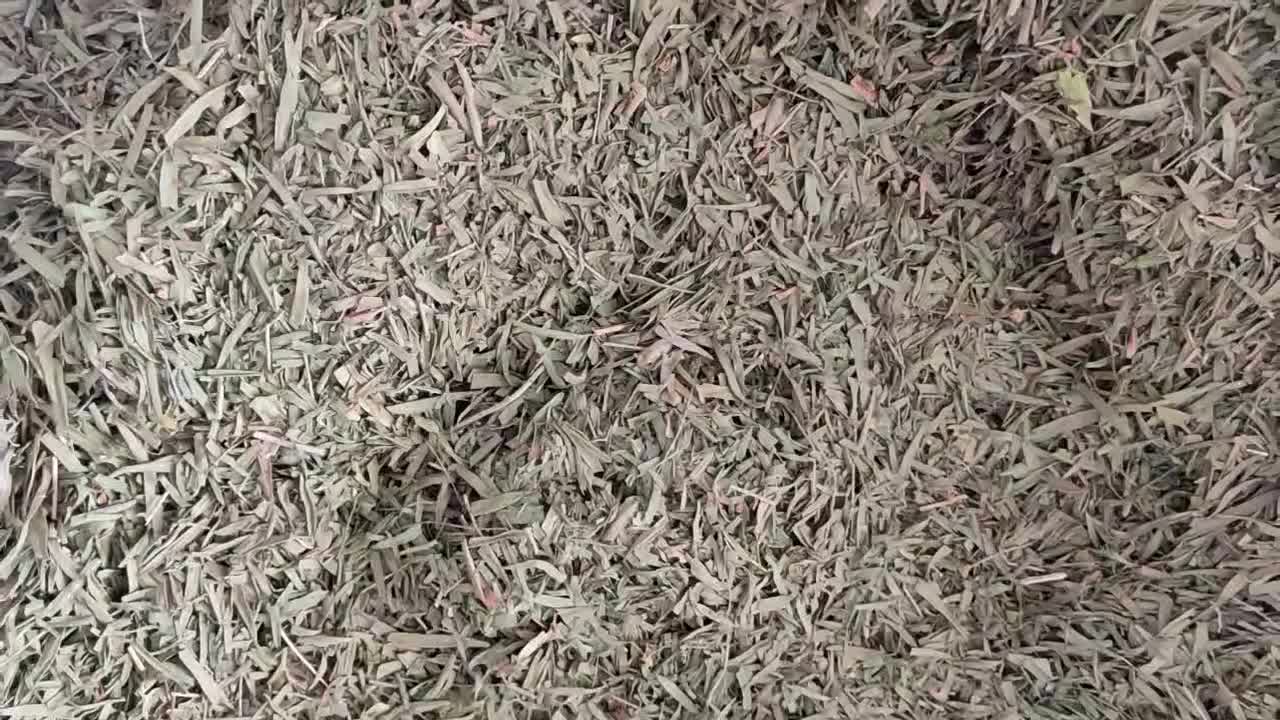 ترخون|خوردنی و آشامیدنی|اژیه, |دیوار