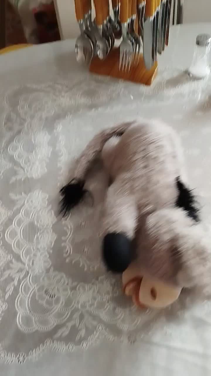 اسباب بازی خر خندان غلتان|اسباببازی|مشهد, فاطمیه|دیوار