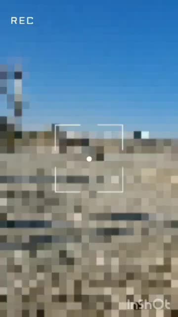 مادیان کرد|اسب و تجهیزات اسب‌سواری|خمینی‌شهر, |دیوار