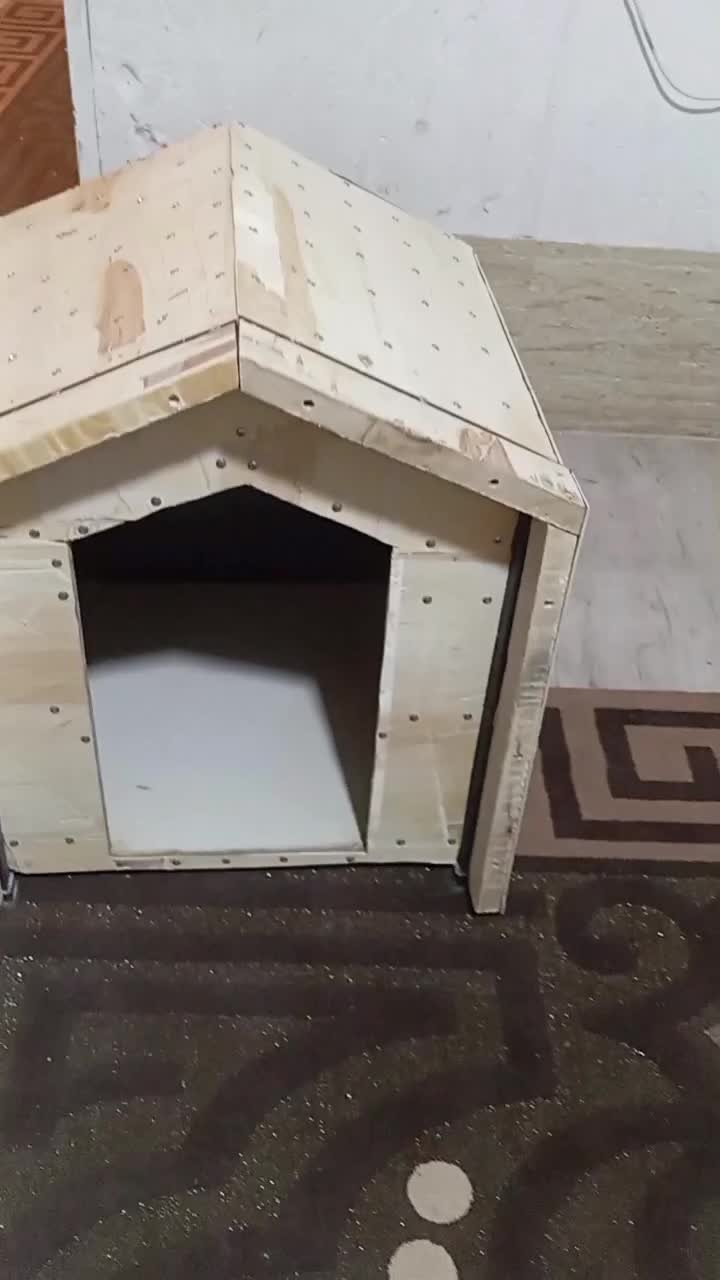 لونه سگ|لوازم جانبی حیوانات|شیراز, کرونی(خاتونک)|دیوار