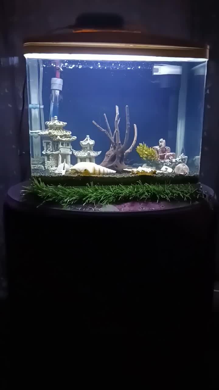 اکواریوم ماهیران فول وسایل قیمت مفت|ماهی|یزد, |دیوار