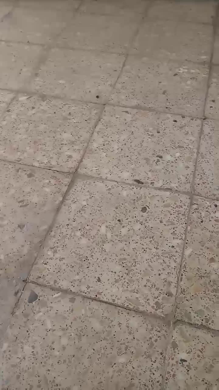 زمین فروشی 128 متر در عریان|فروش زمین و ملک کلنگی|تربتحیدریه, پائین ولایت|دیوار