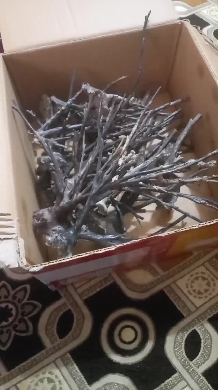 یسر قدیمی حجازی|کلکسیون اشیاء عتیقه|کارون, |دیوار