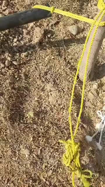 آبیاری قطره و بارانی باغ . فضای سبز . چمن|خدمات باغبانی و درختکاری|مشکیندشت, |دیوار