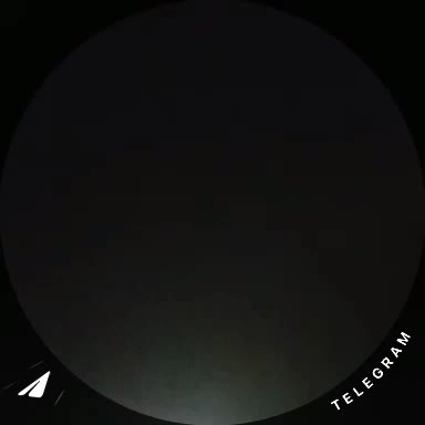سگه|سگ|مشهد, چهاربرج|دیوار