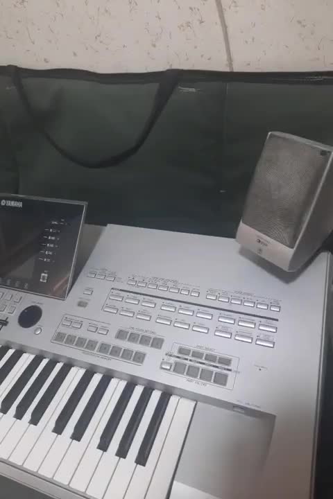 تایروس ۳|پیانو، کیبورد، آکاردئون|بهبهان, |دیوار