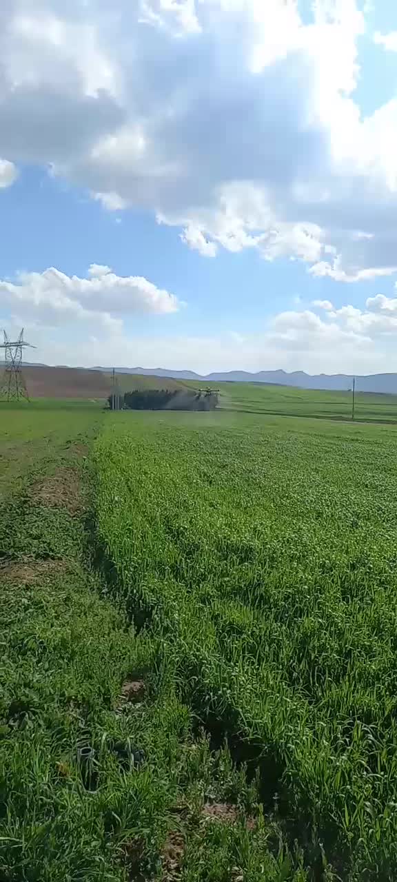 سمپاشی|خدمات باغبانی و درختکاری|کرمانشاه, |دیوار