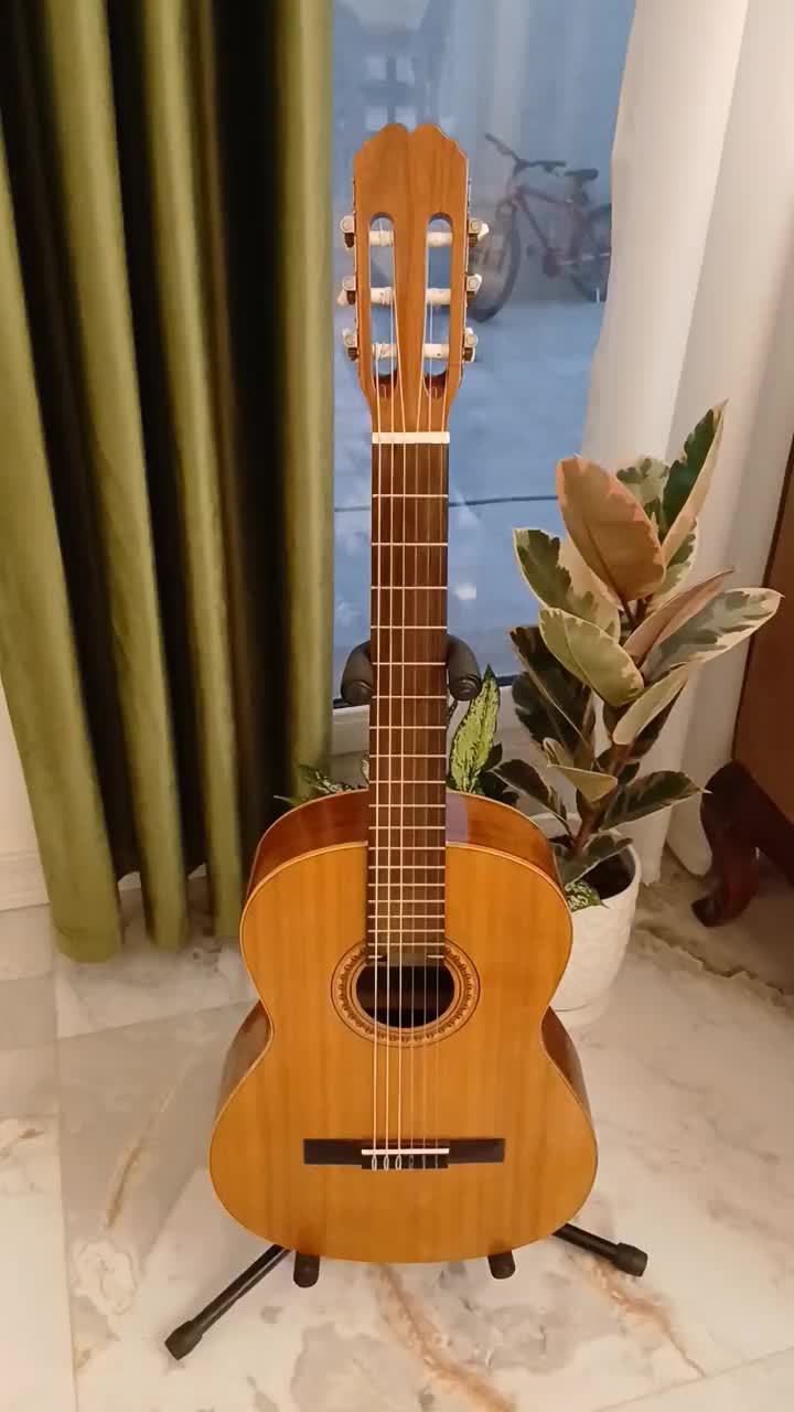 گیتار کلاسیک 10 Manoel rodregz|گیتار، بیس، امپلیفایر|رشت, چمارسرا|دیوار