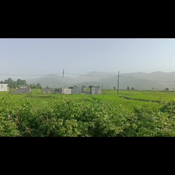 انبار اماده استفاده تجاری یاساخت مسکونی کناراتوبان|فروش دفتر صنعتی، کشاورزی، تجاری|اسالم, |دیوار