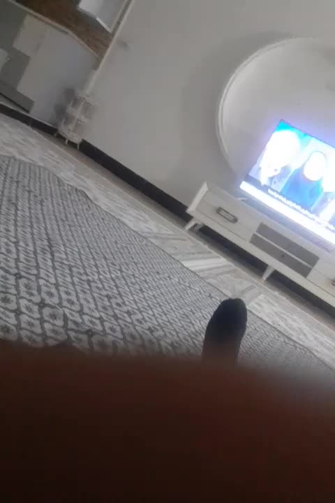 دربستی|خدمات حمل و نقل|کوهدشت, |دیوار