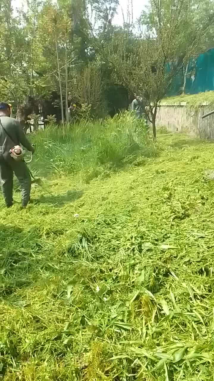 خدمات باغبانی و فضای سبز|خدمات باغبانی و درختکاری|قدس, شهر‌قدس|دیوار