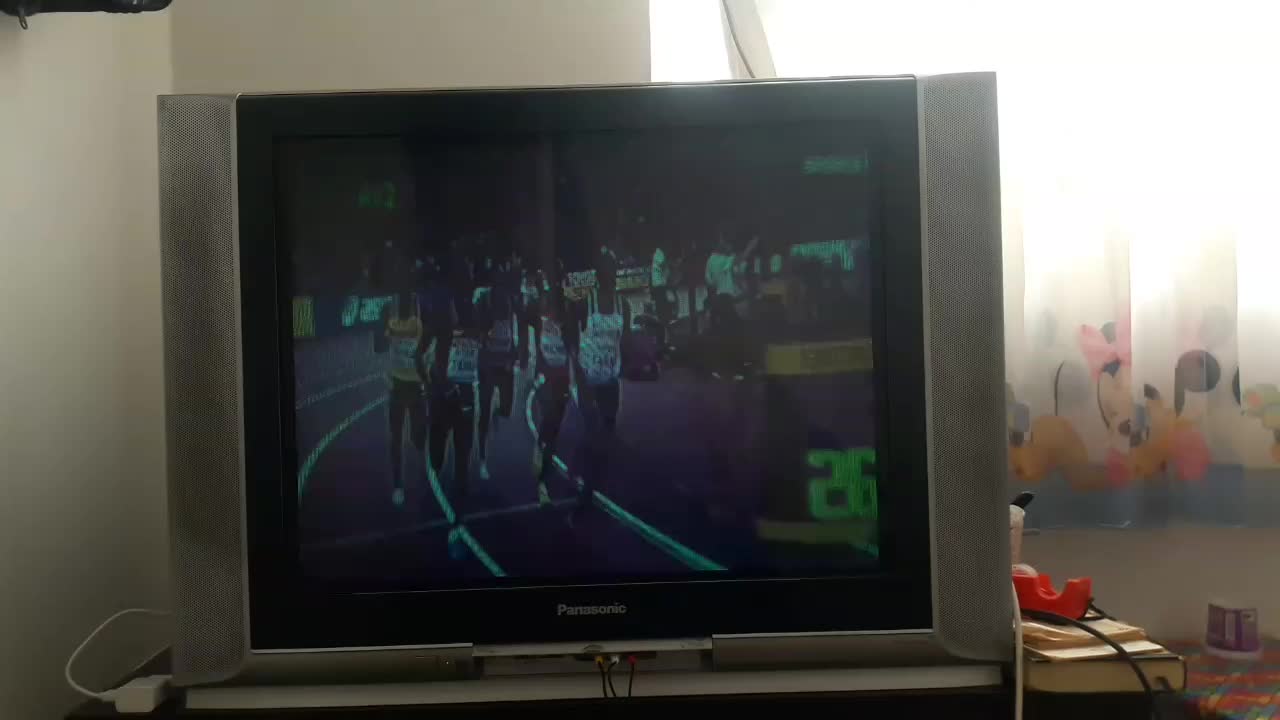 تلویزیون ۲۹ اینچ پاناسونیک سالم با کنترل اصلی|تلویزیون و پروژکتور|سنندج, |دیوار