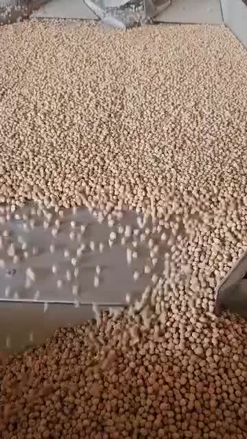 نخود کرمانشاه|حراج|تهران, خلیج فارس|دیوار