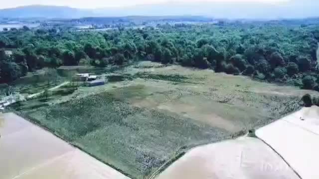 فروش زمین ۴هکتاری تو دل جنگل|فروش زمین و ملک کلنگی|شفت, |دیوار