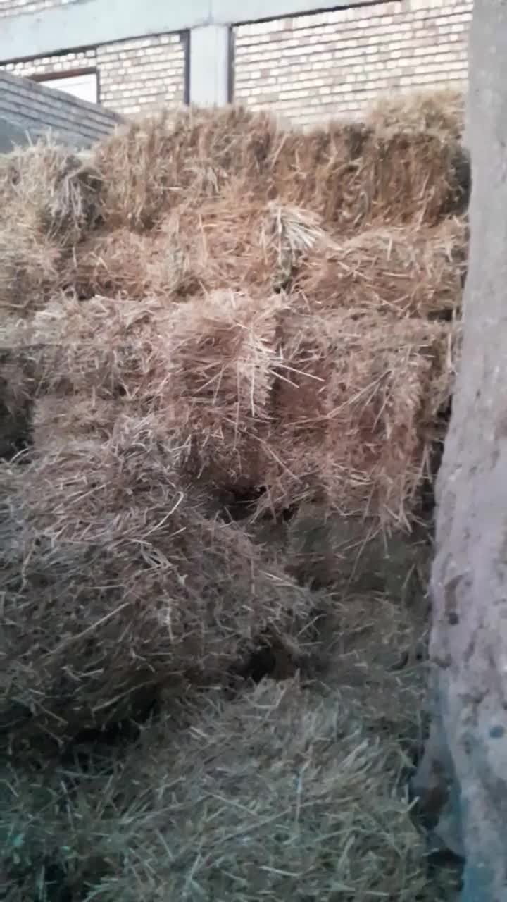 یونجه|لوازم جانبی حیوانات|خوی, |دیوار