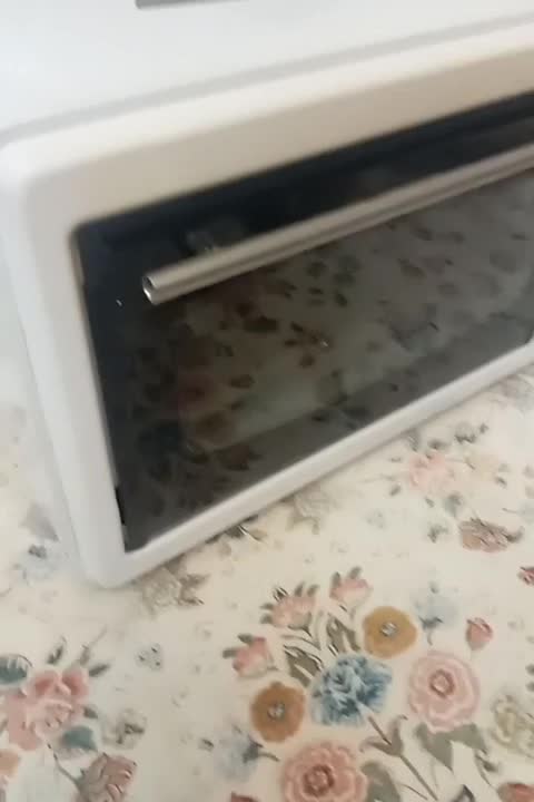 ماکروویوفر برند آسل|اجاق گاز و لوازم برقی پخت‌وپز|مهاباد (آذربایجان غربی), |دیوار