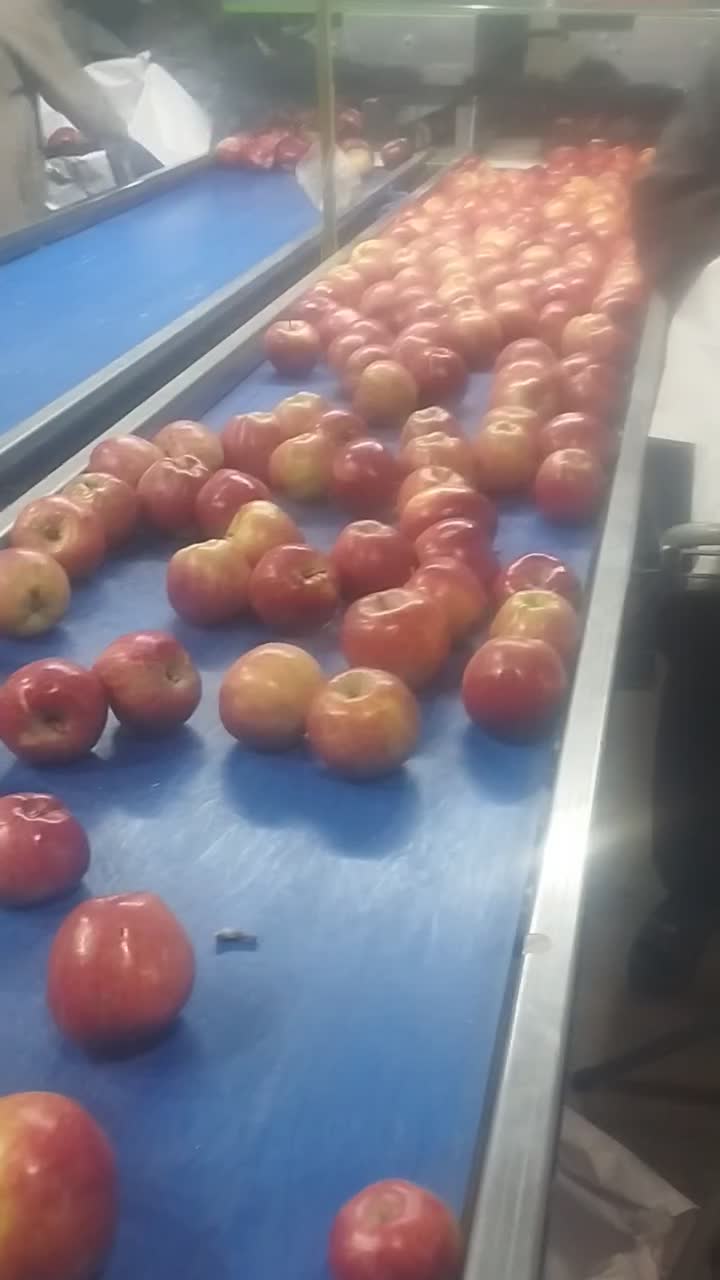 کار در سرد خانه|استخدام صنعتی، فنی، مهندسی|ارومیه, |دیوار