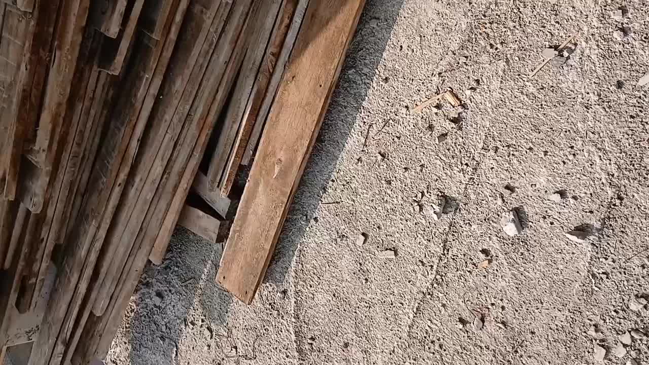 تخته ۱۵نرادچهارتراش ۵×۵|مصالح و تجهیزات ساختمان|رشت, نخودچر|دیوار