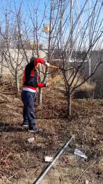 کلیه امور باغبانی با مناسب ترین قیمتها|خدمات باغبانی و درختکاری|کرج, دهقان ویلا|دیوار