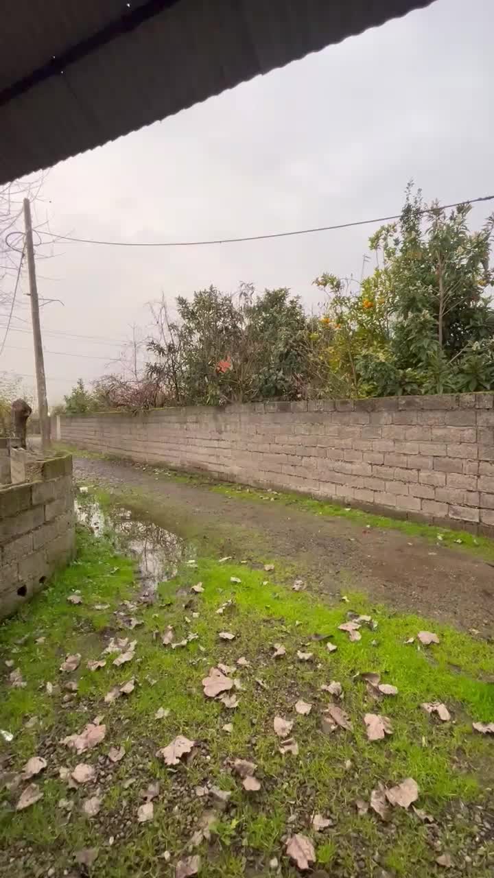 ویلاقدیمی۱۰۰متربنا/۱۳۰۰مترزمین/سندتکبرگ/صفرابسته|فروش خانه و ویلا|آستانه اشرفیه, |دیوار