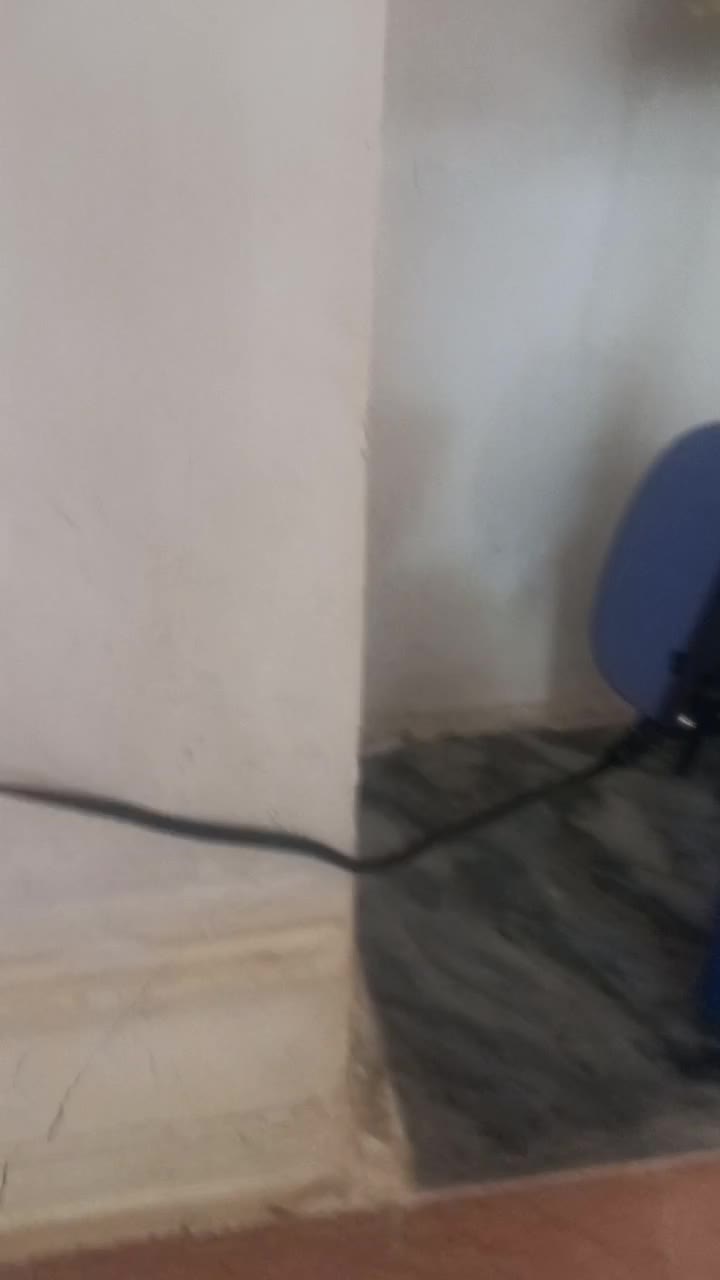 آکواریوم شیشه خم شرکتی|ماهی|خرم‌آباد, |دیوار