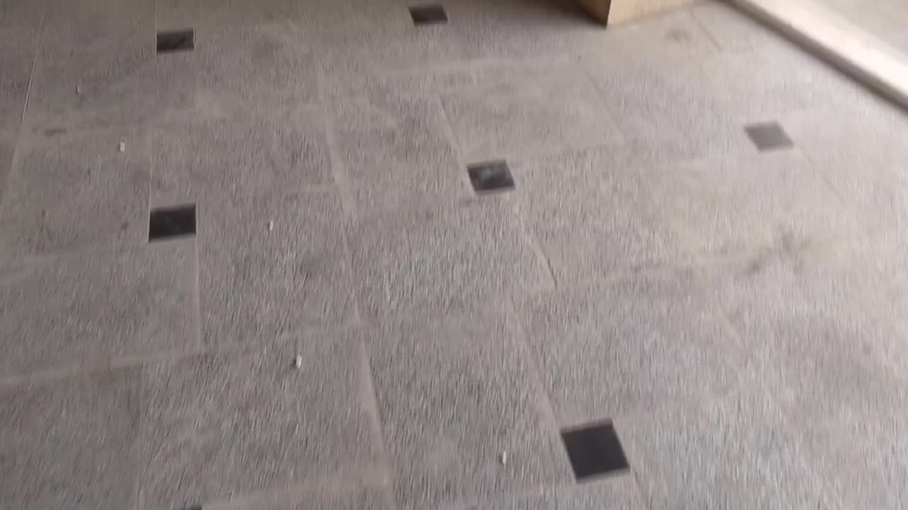 اجاره مغازه|اجارهٔ مغازه و غرفه|تهران, پرستار|دیوار