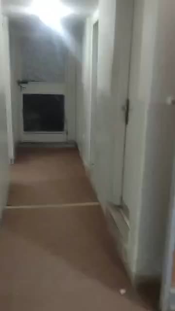 آپارتمان|اجارهٔ آپارتمان|قیروکارزین, |دیوار