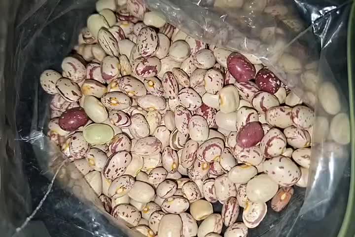 چیتی محلی درجه ۱|خوردنی و آشامیدنی|مرودشت, پشت سایپا‎|دیوار