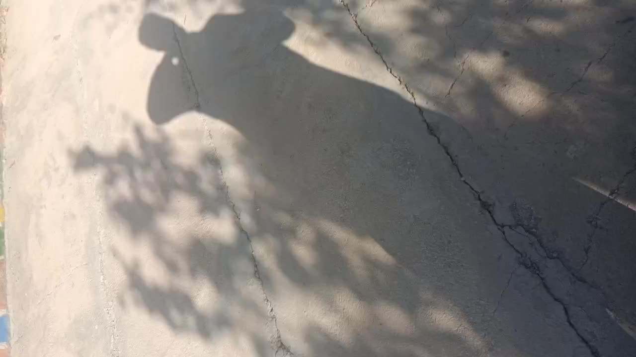 کارخانه همراه خانه|اجارهٔ خانه و ویلا|روانسر, |دیوار