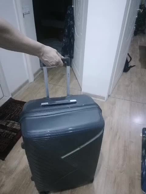 چمدان|کیف، کفش، کمربند|بندرعباس, |دیوار