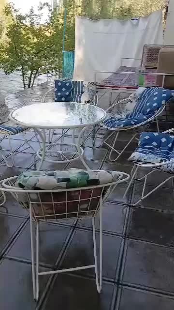 اجاره ویلا باغبهادران باغ بهادران باغبادران|اجارهٔ کوتاهمدت ویلا و باغ|اصفهان, سعادتآباد|دیوار