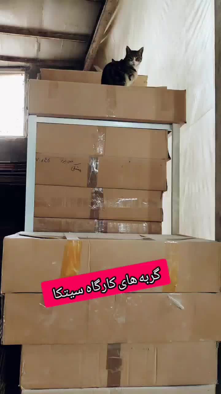 روشویی نئوکلاسیک طرحltos سیتکا|لوازم سرویس بهداشتی|تبریز, |دیوار