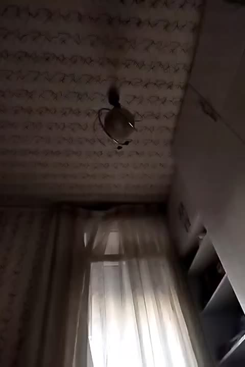 لوستر|لوستر و چراغ آویز|قرچک, میرزائی جنوبی|دیوار