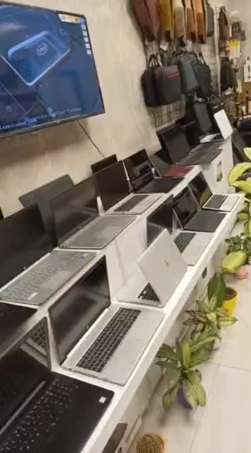 نمایندگی اصلی Asus.Hp.Dell.Lenovo اقساط12بدون ضامن|رایانه همراه|گرگان, |دیوار