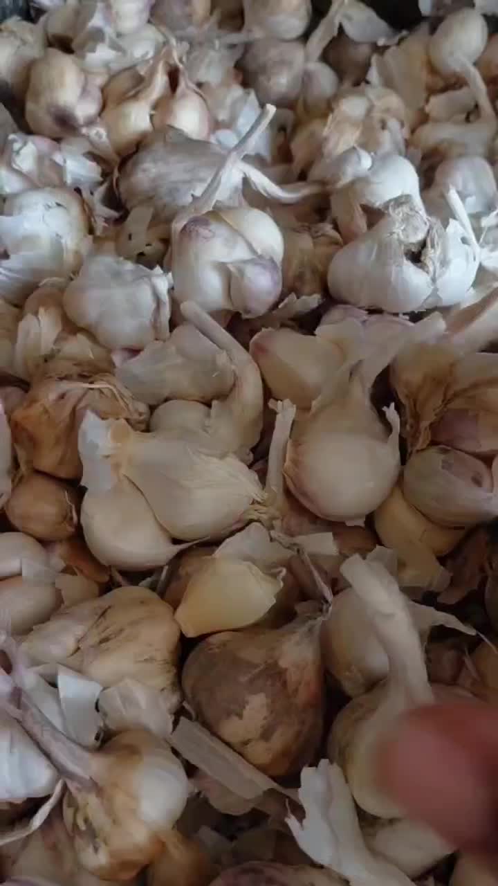سیر|خوردنی و آشامیدنی|کرج, عظیمیه|دیوار