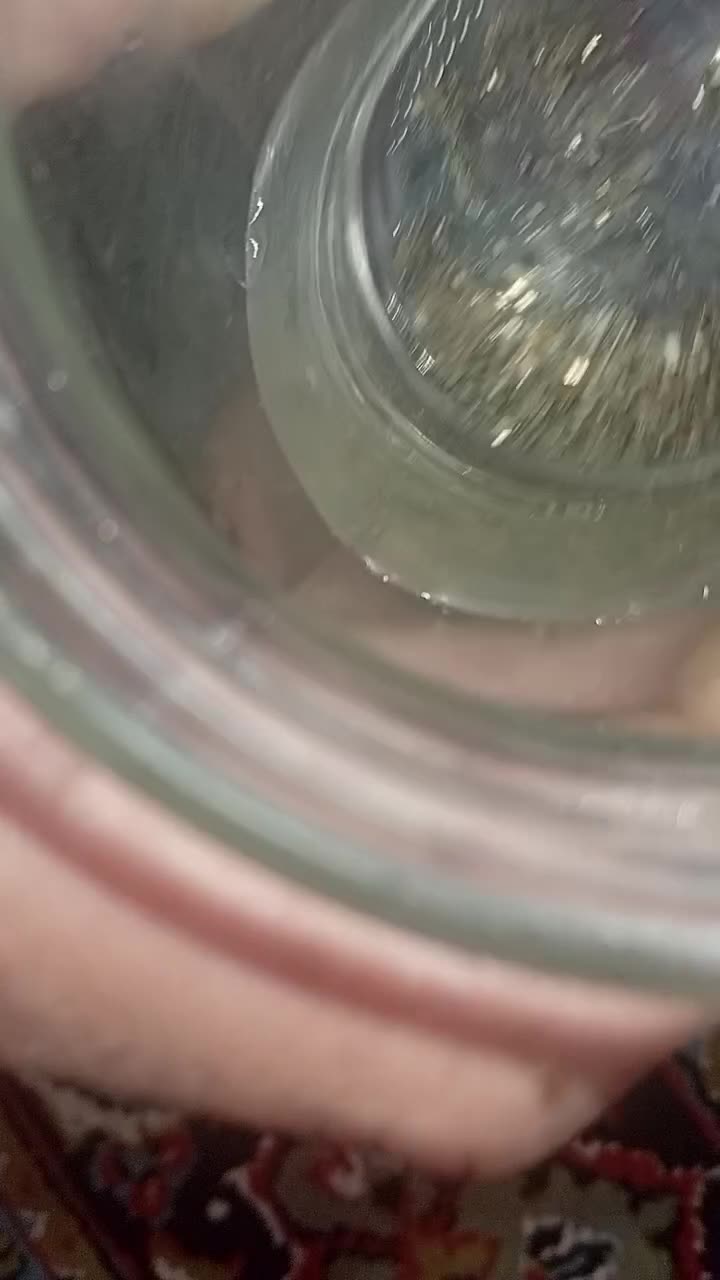 سنگ|کلکسیون اشیاء عتیقه|پارسآباد, |دیوار