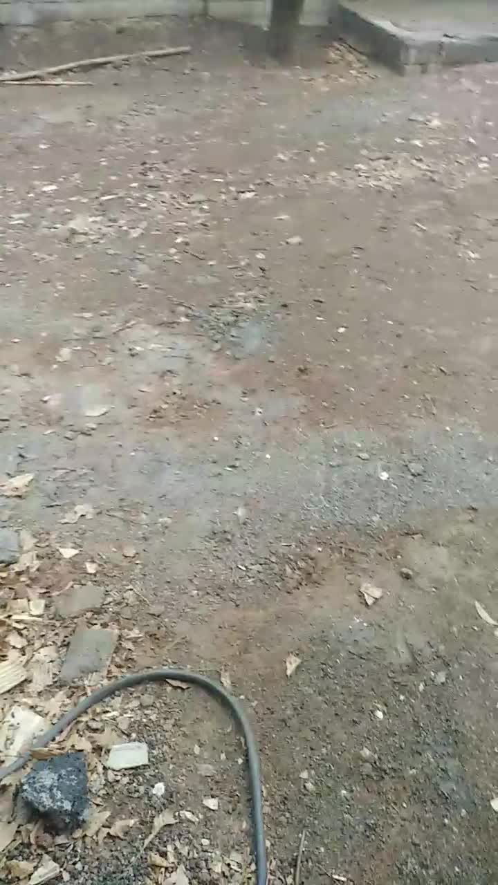 کاشی کاری وسرامیک کاری دوغابی وچسبی نما پله|خدمات پیشه و مهارت|قشم, |دیوار