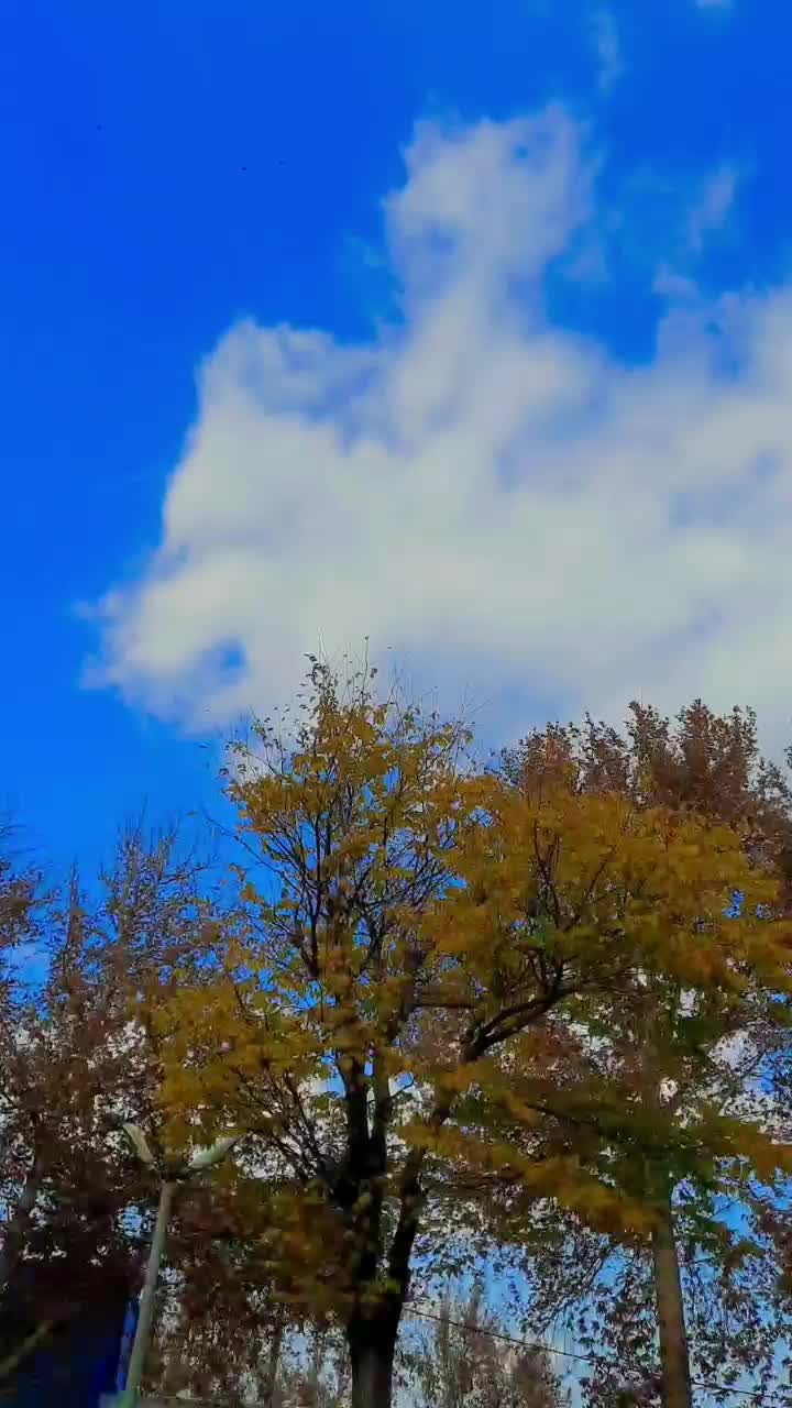 *تولیدی مبل راحتی *|مبلمان خانگی و میز عسلی|همدان, |دیوار