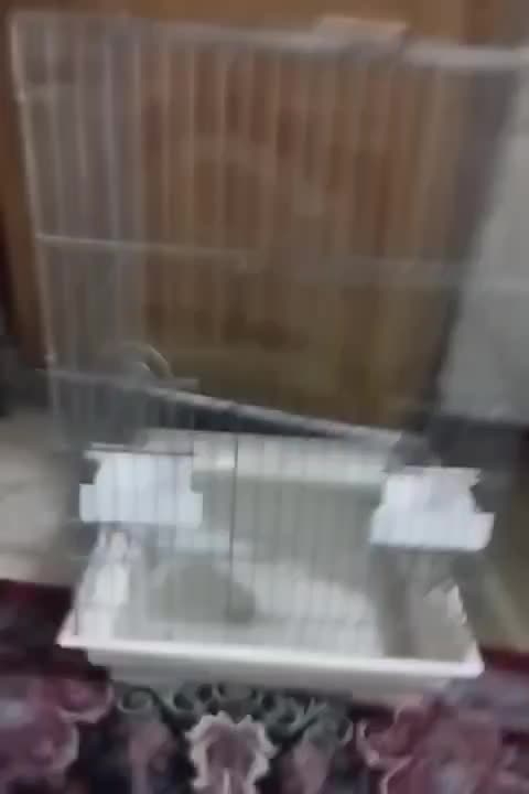 قفس بزرگ پرنده ۹۵۰|لوازم جانبی حیوانات|شیراز, سهلآباد|دیوار